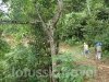 ha-giang-vietnam-9