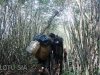 climb-fansipan-mountain-33