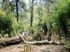 trek-fansipan-mountain-12