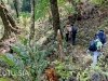 trek-fansipan-mountain-15