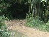 walking-sapa-vietnam-7