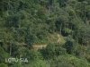 walking-sapa-vietnam-8