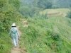 sapa-trekking-27