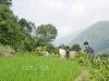 sapa-vietnam-tours-45