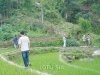 sapa-vietnam-tours-46