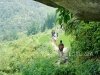 tours-in-sapa-05