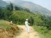 tours-in-sapa-53