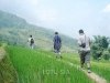 travel-sapa-18