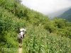 travel-to-sapa-13