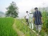 vietnam-sapa-tours-50