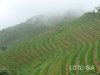 trekking-hike-sapa-10
