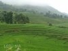 trekking-hike-sapa-4