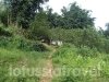 sapa-vietnam-1