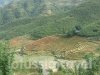 sapa-vietnam-4