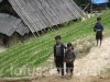 Vietnam Trekking Tour