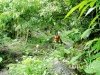 trek-ba-be-national-park-3