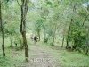 trek-ha-giang-10