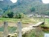 trek-lai-chau-7