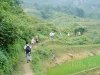 hanoi-sapa-tour-31