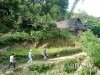 sapa-holiday-37