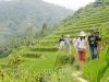 sapa-tours-07