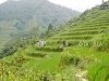 sapa-tours-08