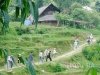 sapa-travel-16