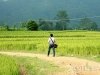 trek-yen-bai-vu-linh-1