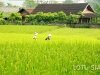trek-yen-bai-vu-linh-5
