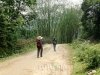 trek-ngoc-son-ngo-luong-1