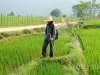 trek-north-vietnam-24