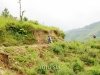 trek-tu-le-yen-bai-1